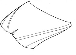 Bonnet
