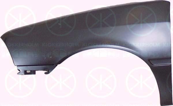 Citroen AX 1991-1996 Front Wing L/H