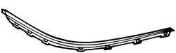 Ft Bumper Moulding Chrome RH