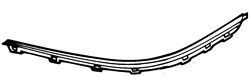 Ft Bumper Moulding Chrome LH