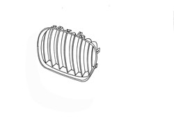 BMW X5 2004-2006 Front Grille Section (Titan)