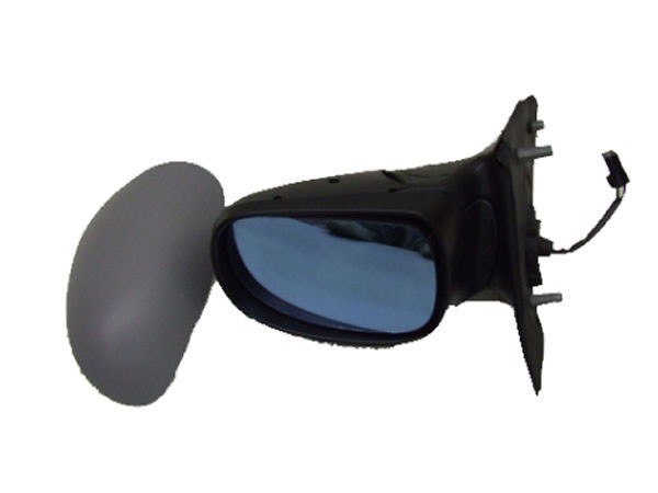 Door Mirror RH