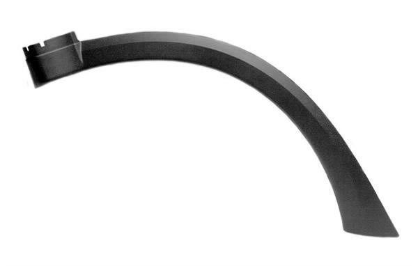 Rr Wing Trim With Mould - RH