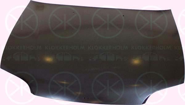 Renault Clio 1991 - 1998 Bonnet
