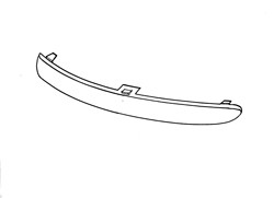 Front Bumper Moulding