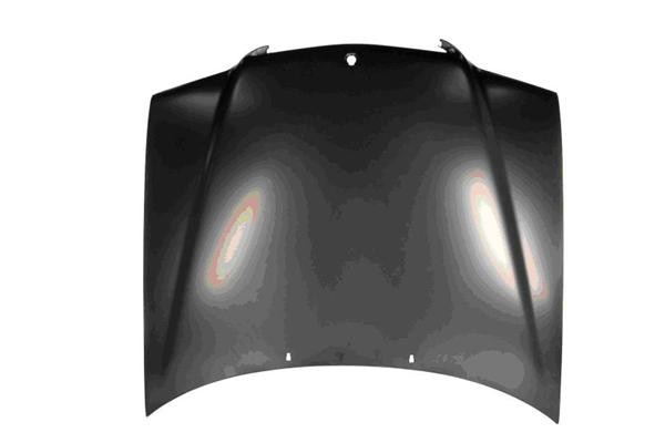 Bonnet