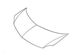 Bonnet