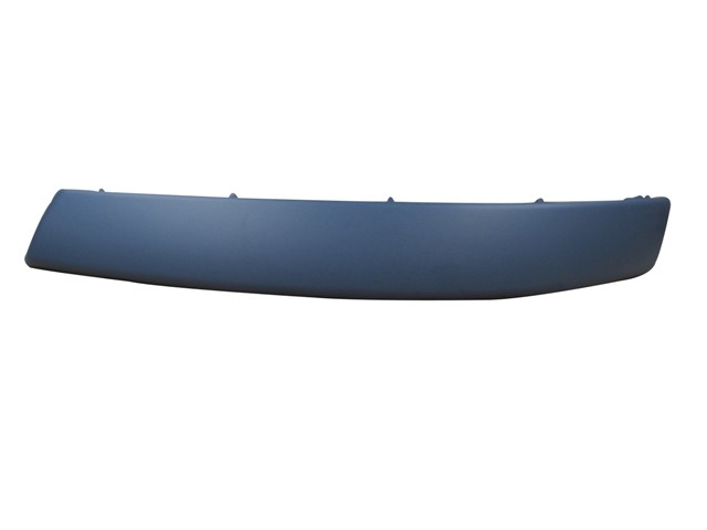 Front Bumper Moulding