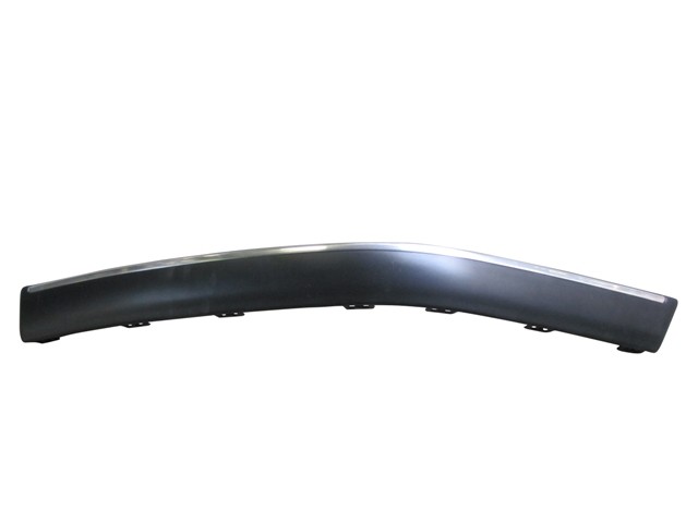 Front Bumper Moulding Outer