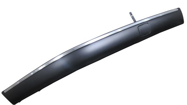 Front Bumper Moulding Outer