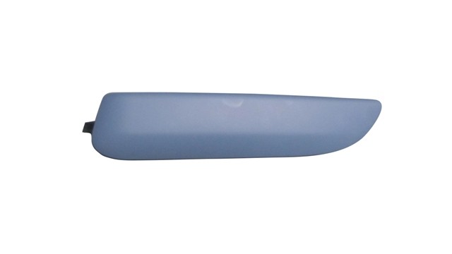 Front Bumper Moulding (Outer Section)