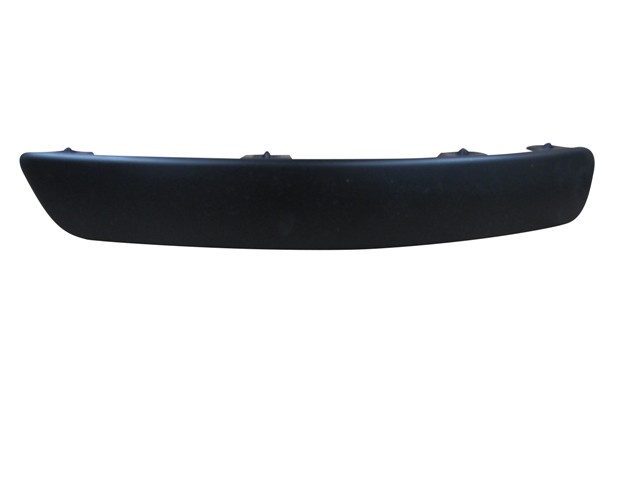 Front Bumper Moulding Outer