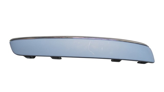 Front Bumper Moulding (With Chrome Trim)