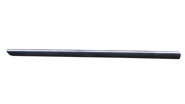 Door Moulding (Front/With Chrome Trim)