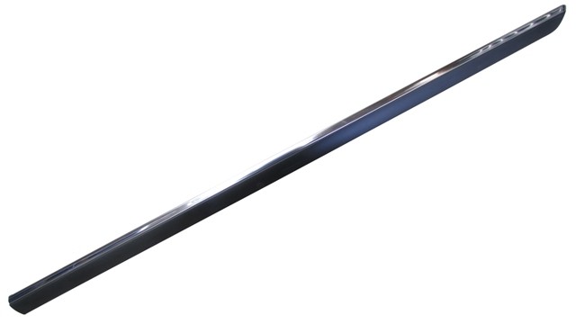 Door Moulding (Front/With Chrome Trim)