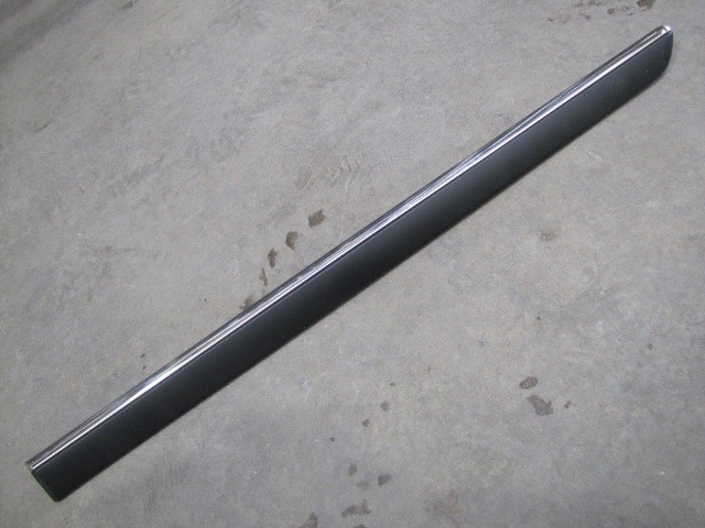 Door Moulding (Rear/With Chrome Trim)