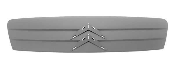 Citroen C2 2003-2008 Front Grille (Standard Models)