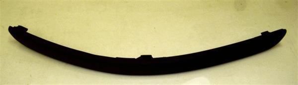 Front Bumper Moulding