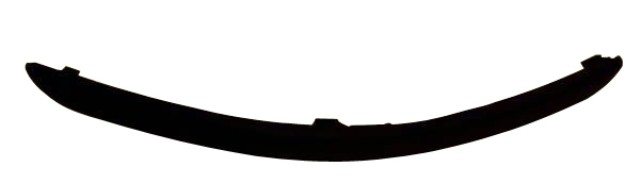 Front Bumper Moulding