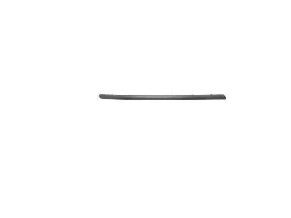 Front Bumper Moulding LH