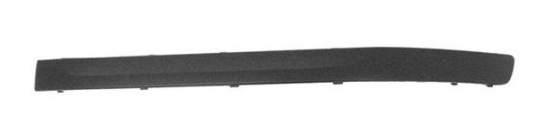Front Bumper Moulding LH