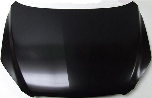 Toyota RAV-4 2006-2010 Bonnet