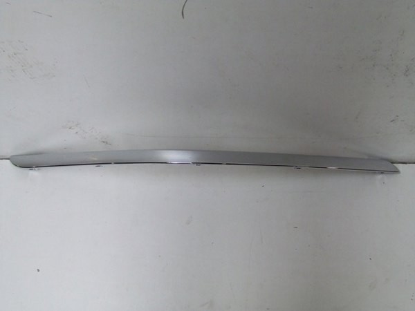 Front Bumper Moulding - LH