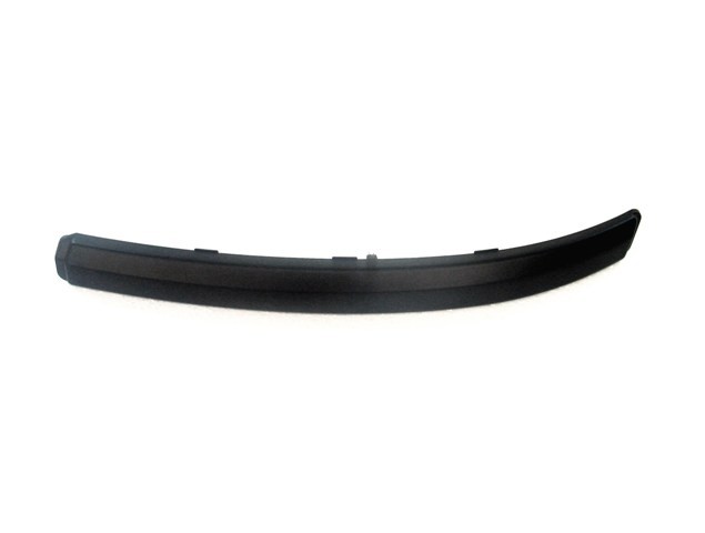 Front Bumper Moulding