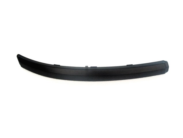 Front Bumper Moulding