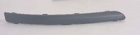 Front Bumper Moulding