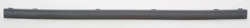 Rear Bumper Moulding