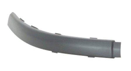 Rear Bumper Moulding