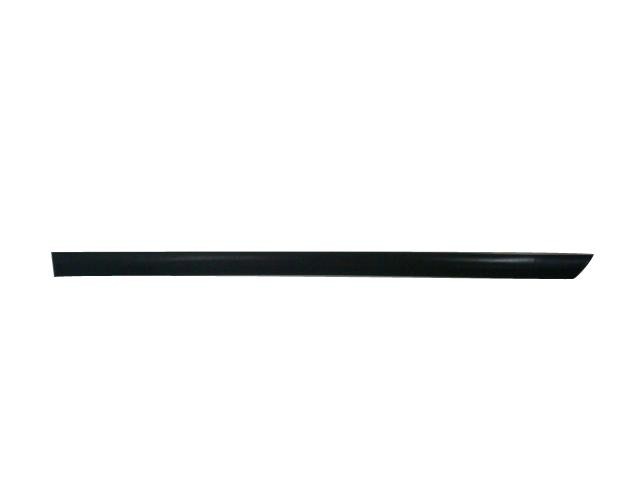 Door Moulding - Rear - LH