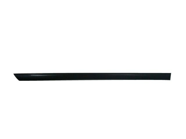 Door Moulding - Rear - RH