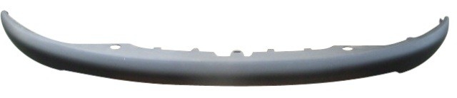 Ft Bumper Moulding - Sport