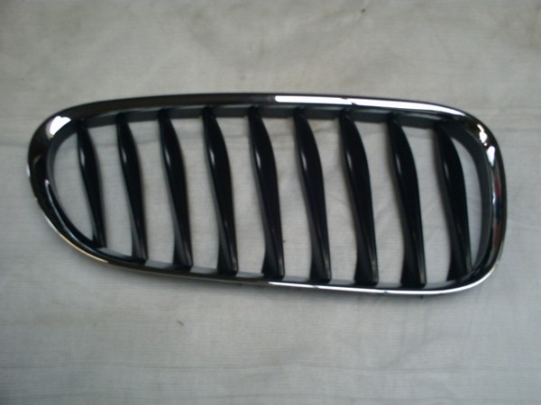 BMW Z4 2003-2009 Front Grille Section
