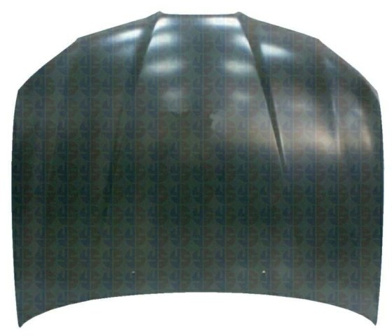 Bonnet - W/O Air-Intake