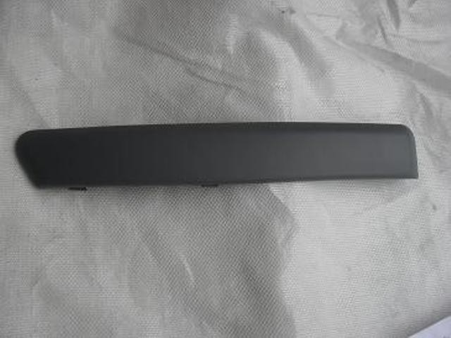 Front Bumper Moulding