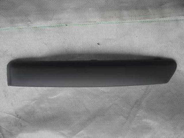 Front Bumper Moulding