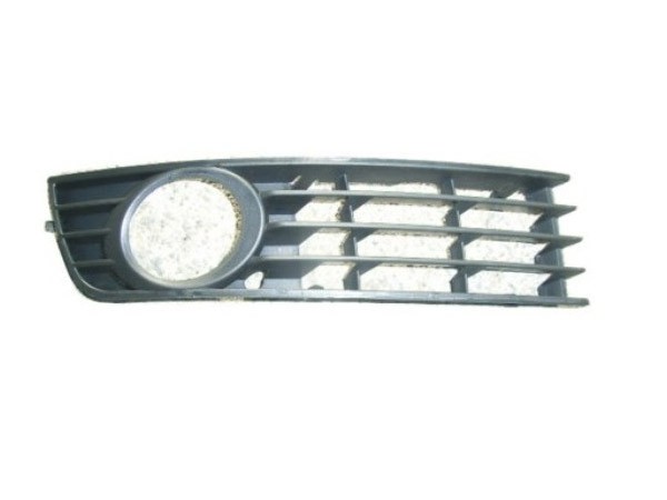 Front Bumper Grille Outer - RH