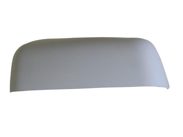 Door Mirror Cover
