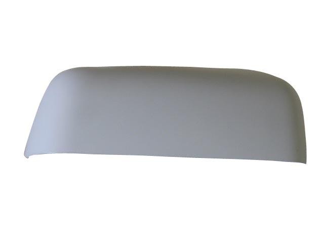 Door Mirror Cover