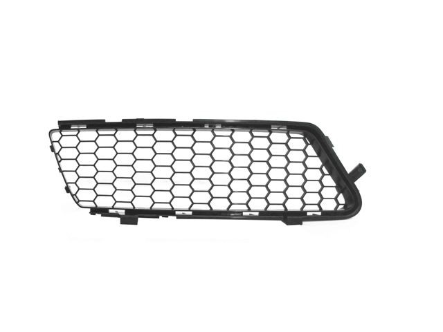 Ft Bumper Grille - Centre - LH