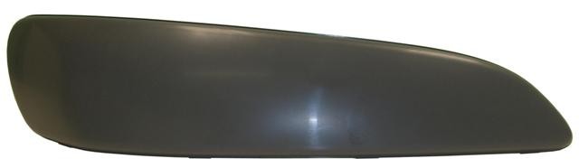 Front Bumper Moulding - RH