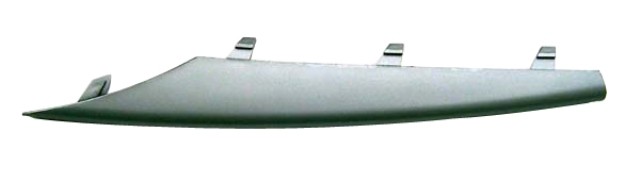 BMW X5 2007- Front Bumper Moulding