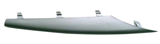BMW X5 2007- Front Bumper Moulding