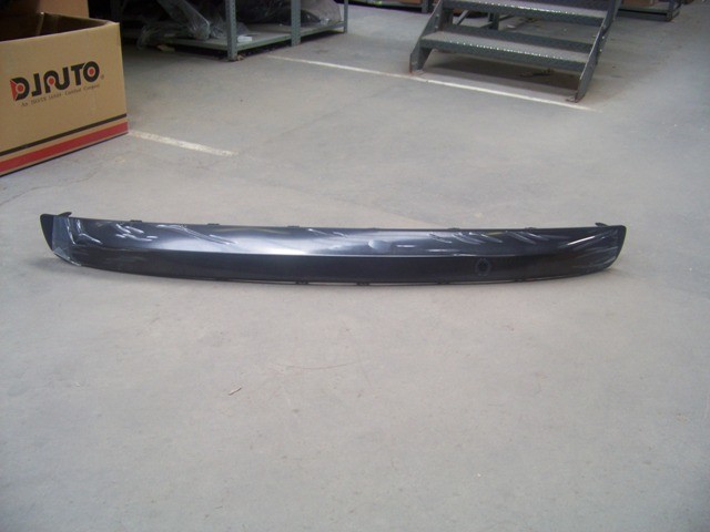 Rear Bumper Moulding