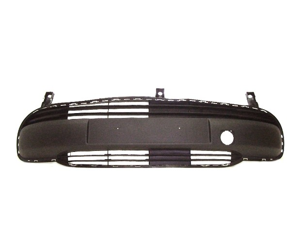Front Bumper Moulding/Grille