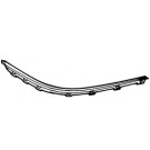 Ft Bumper Moulding Chrome RH