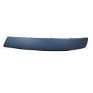 Front Bumper Moulding